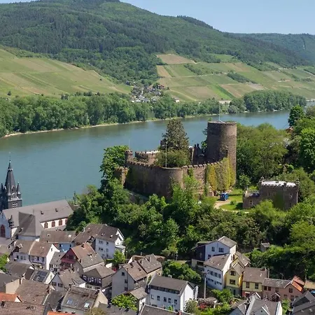 Rheintal-ferien - 90 Qm Mit Wine&style - Dein Urlaub Am Rhein Apartment *